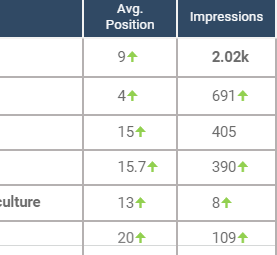 SEO and AI-EO strategy and results